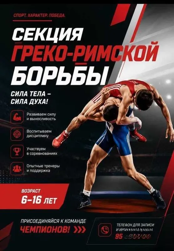 Секция греко-римской борьбы Секция греко-римской борьбы