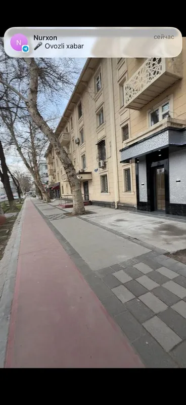 Под Нежилое 1-Линия Улица Бабура Пирамит Шота Руставели 60 кв.м — фото 3