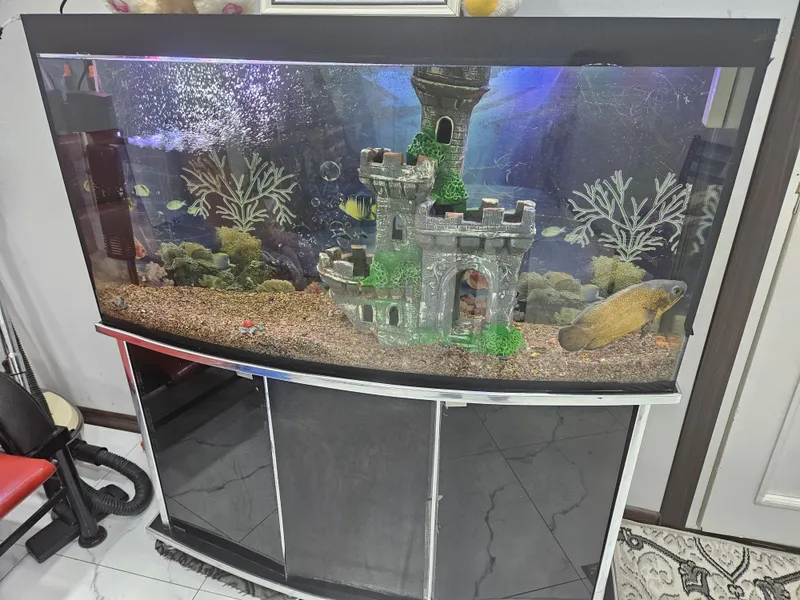 Akvarium 470 litr