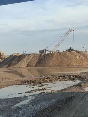 Chinoz qum optim. Чиноз кум perchistlena bor
