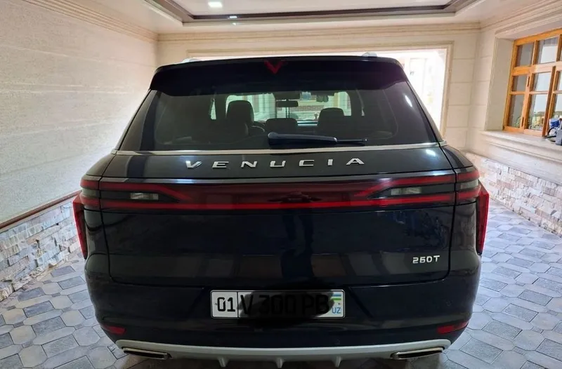 Venucia Star (совместный проект Dongfeng Nissan) 9