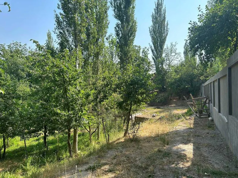 Sijjak, Chorvoq yaqinida yer uchastkasi sotiladi / Земля у Чарвака — фото 4