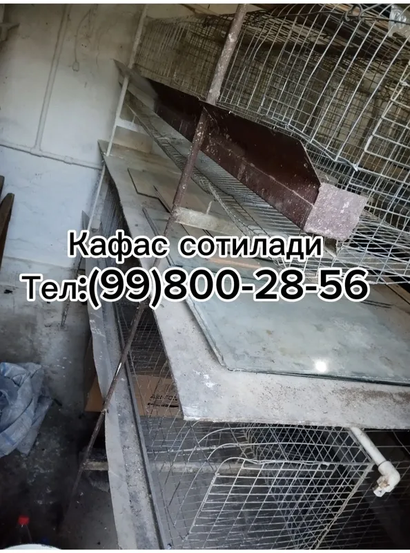 Тошкент Яшнобод 500та товукга кафас сотилади. — фото 2