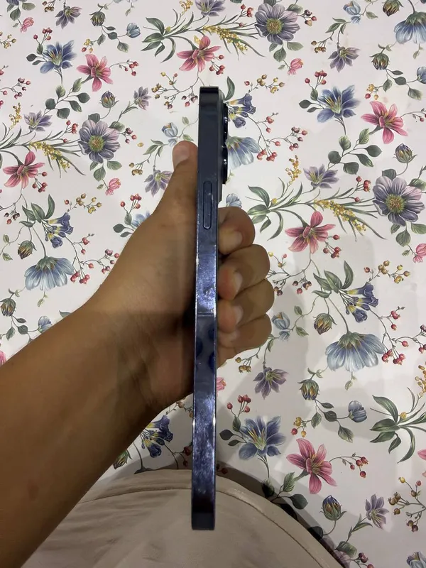 Iphone 13 pro max 2