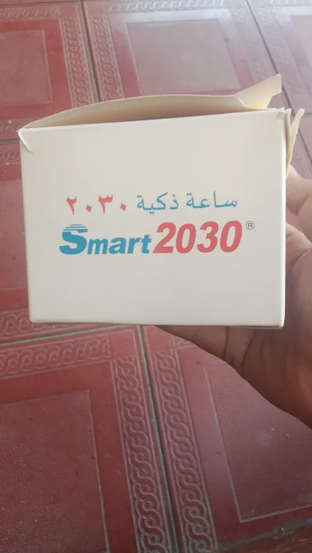 Smart2030 3