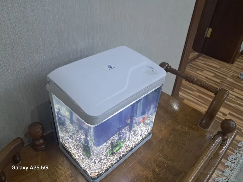Аквариум 12л и 2 рыбки 1
