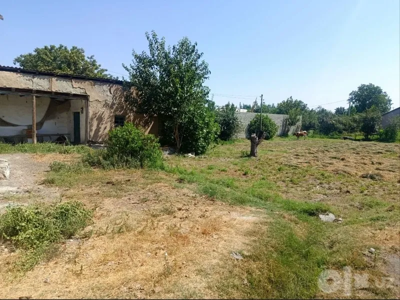 Uchastka sotiladi, narxini yana kelishamiz. 6 Uchastka sotiladi, narxini yana kelishamiz. 6