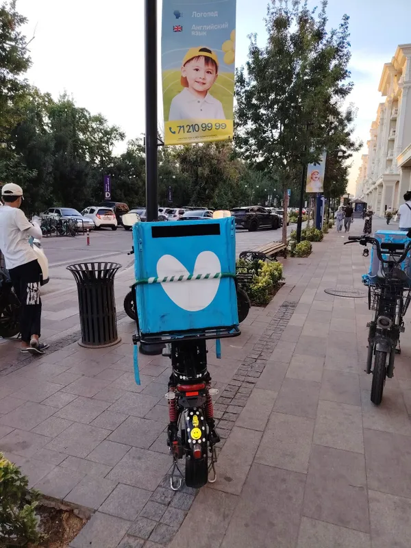 Elektro velosiped DRONGO 2 Elektro velosiped DRONGO 2