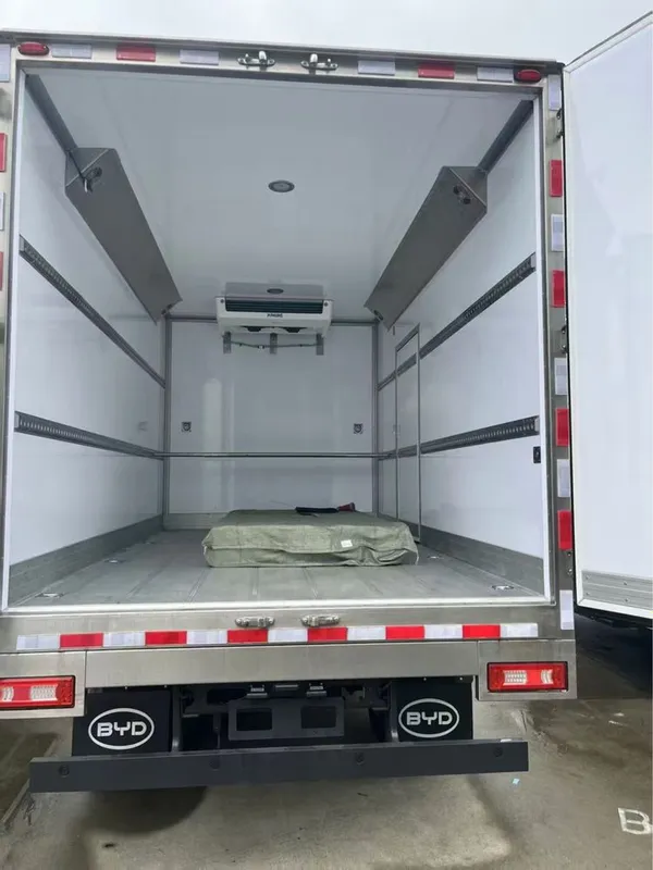 Byd T5 электрическая версия если из холодильника рефрижератором 132 кв — фото 1