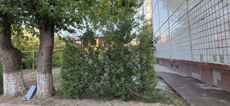 Ландшафтный для сада 6