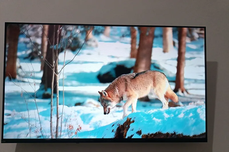 Kafolatli Artel A43MF3300 televizori (43 dyuym) 2