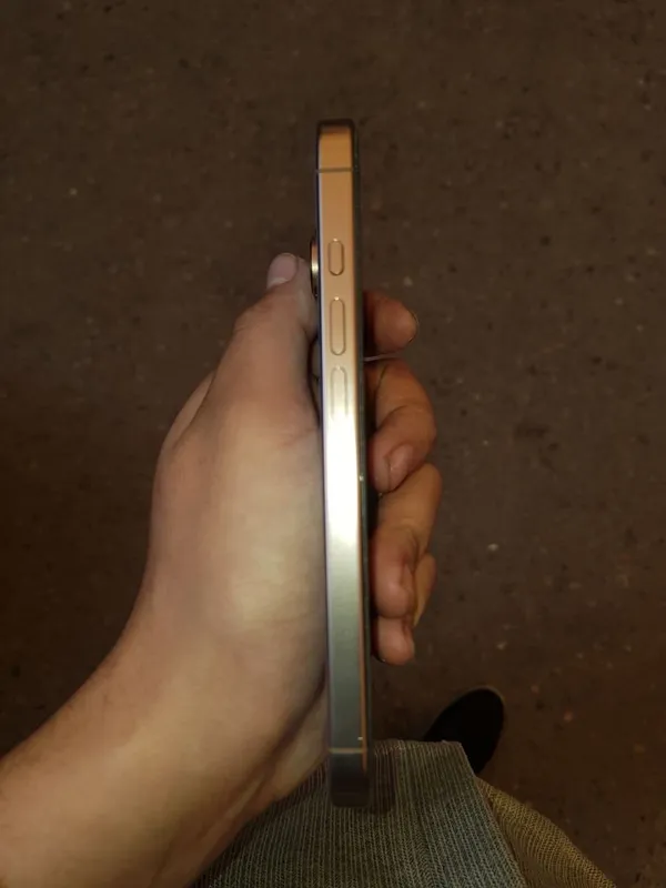 iPhone 16 Pro, 256 ГБ 3