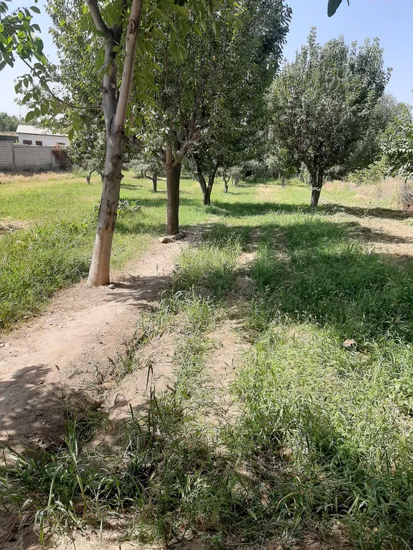 Yer sotiladi hujjatlari bor