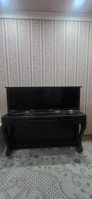 Pianino пианино Беларусь 1
