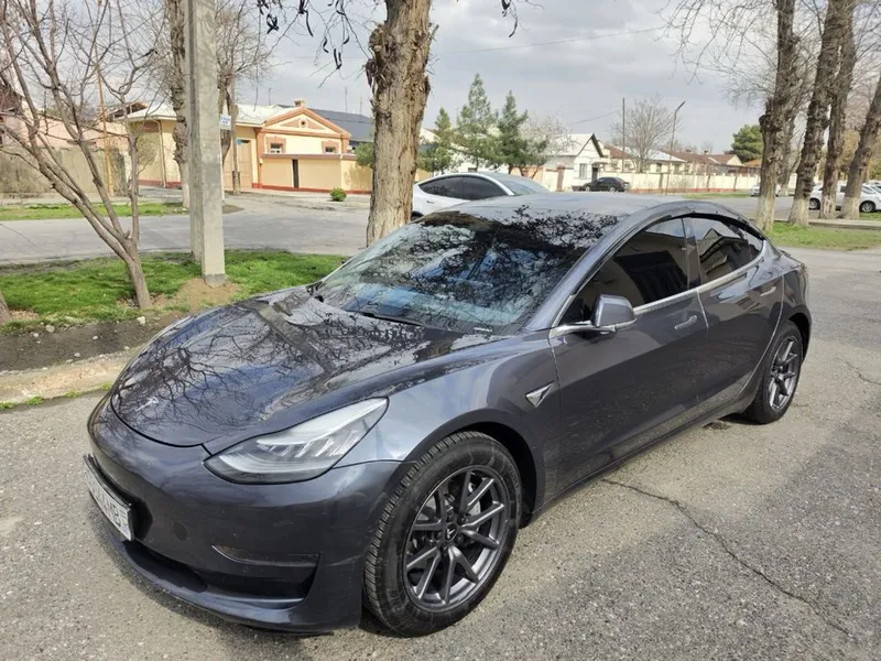 Tesla Model 3 Standard Plus — фото 7