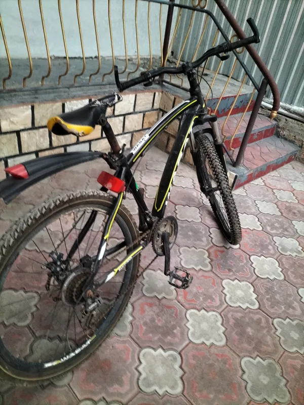 wasat velo soʻrdi
