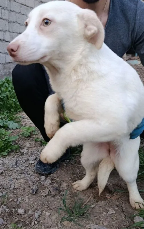 Пропала девочка подросток 3