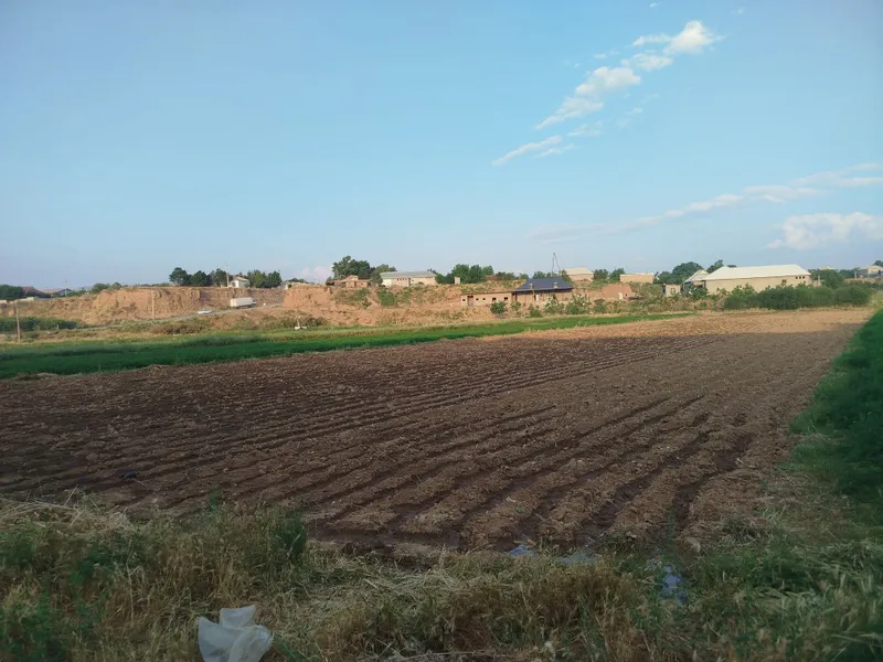 Tomorqa sotiladi