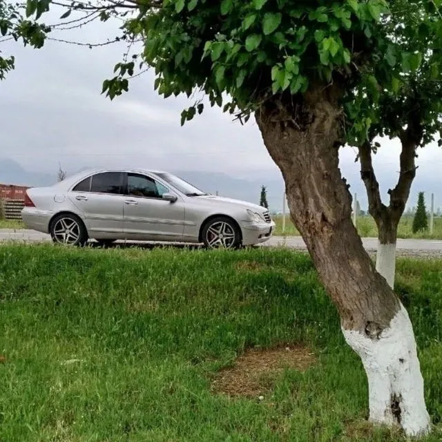 Mercedes Benz 203