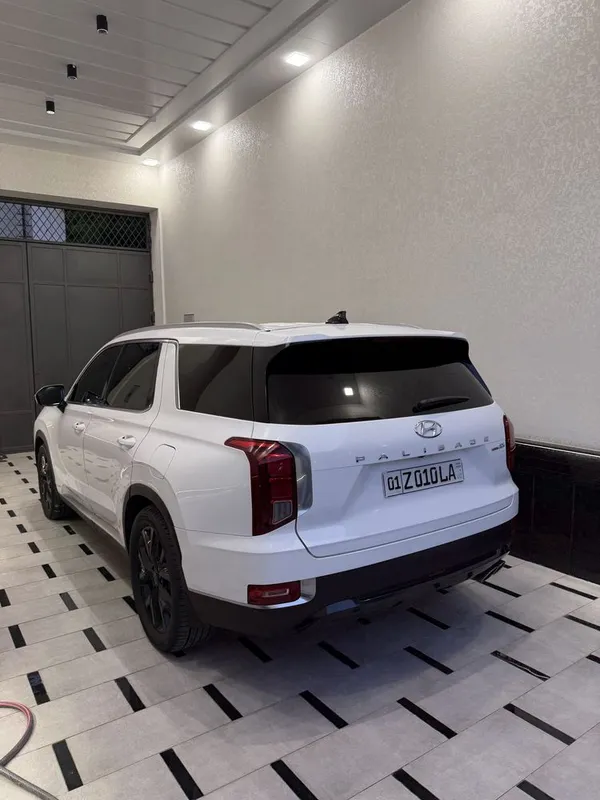 Hyundai Palisade — фото 1