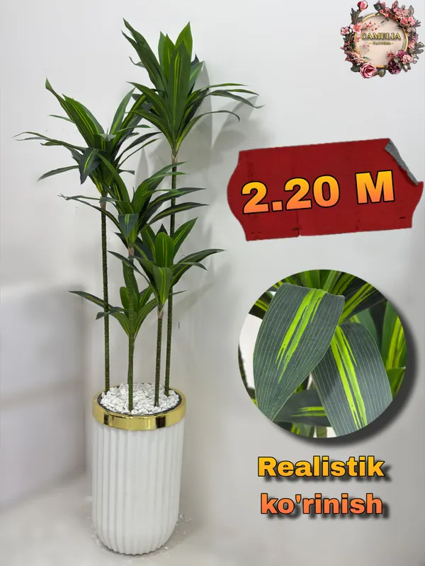 Sun'iy daraxt (DRAKAINA)-2.20 metr Sun'iy daraxt (DRAKAINA)-2.20 metr