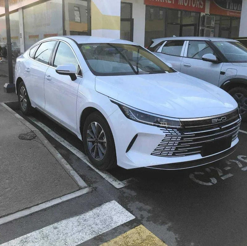 BYD chazor activate 55km