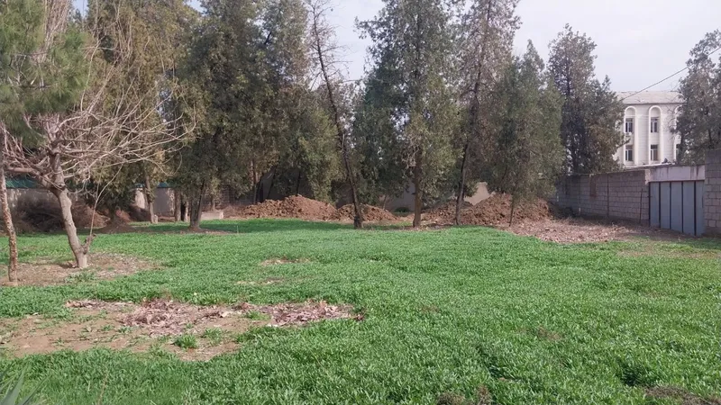 Tadbirkorlik va yashash uchun 10 sutuģ er maydoni va 4 xonali bino — фото 3