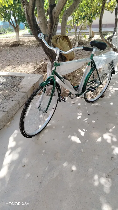 velosiped kattalar uchun