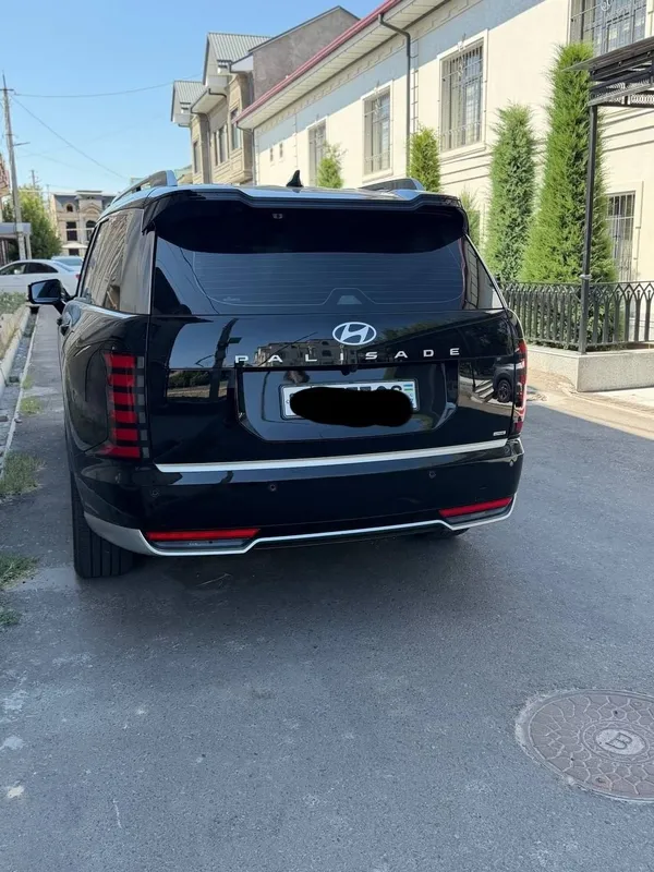 Hyundai palisade calligraphy full 6