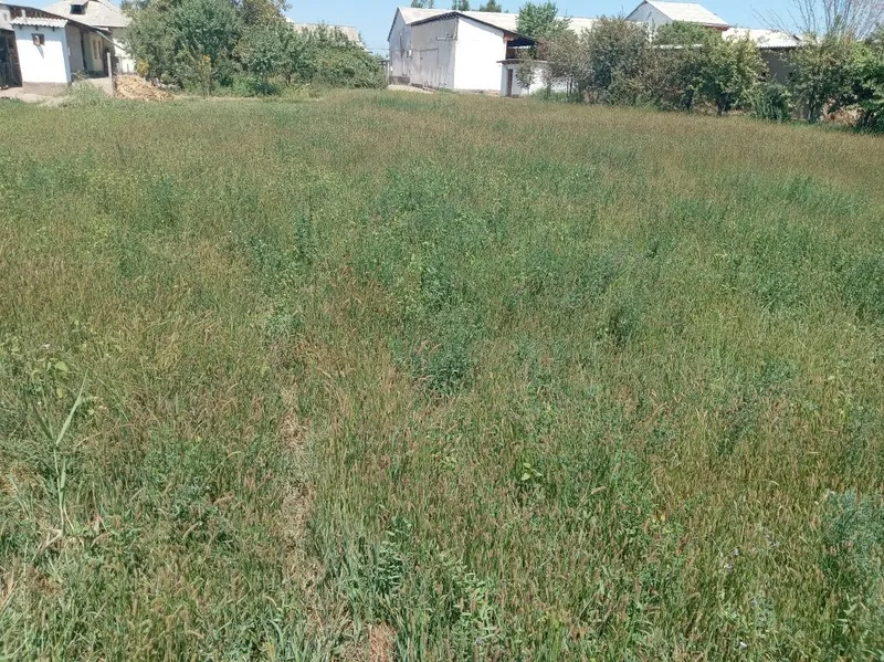 Srochna Yer Sotiladi: 12 sotix yer 6 sotixdan bolib ham beriladi, — фото 4