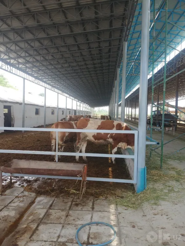 Svarka xizmati narxlar kelishilgan holda 4 Svarka xizmati narxlar kelishilgan holda 4