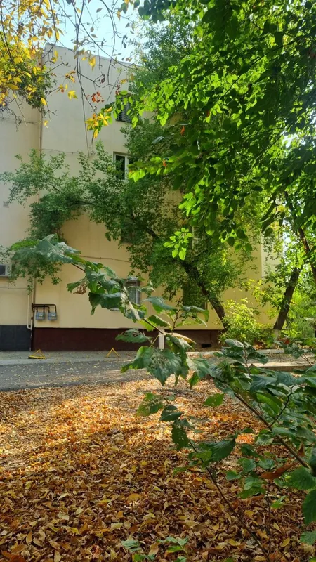 продажа квартиры Лабзак ц12,рядом парк Анхор — фото 7