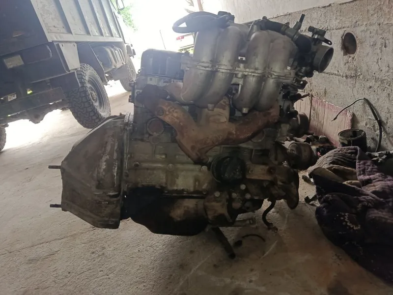 Volga 31105. Eshik