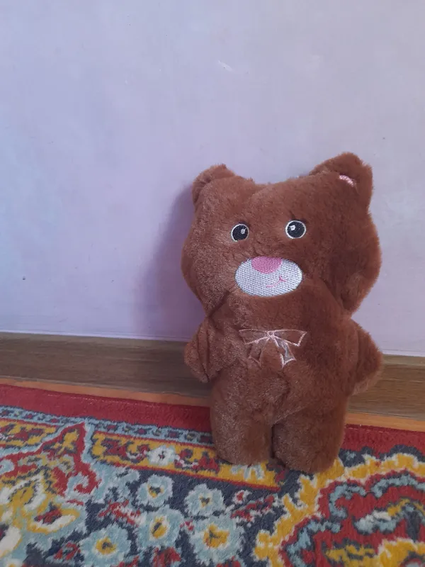 Карши Карши