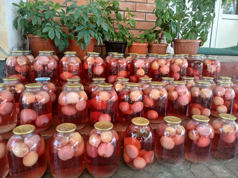Sok kompotlar 1 Sok kompotlar 1