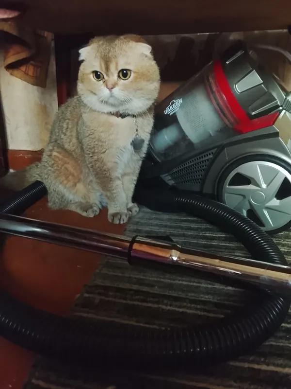 ВЯЗКАГА.киз мушуу 1 ВЯЗКАГА.киз мушуу 1