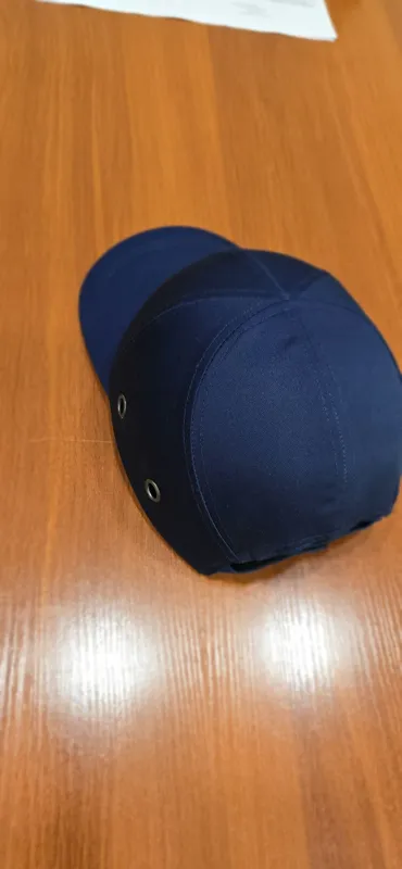 Raxbarla uchun kepka dizayinidagi kaska 2 Raxbarla uchun kepka dizayinidagi kaska 2