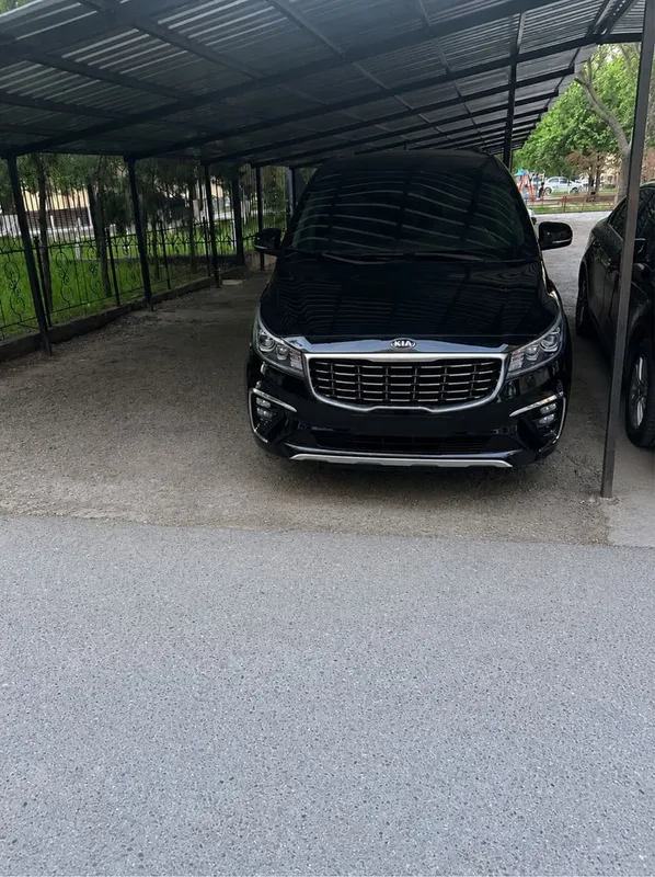 Поездка в горы, Экскурсии. Kia Carnival. — фото 1