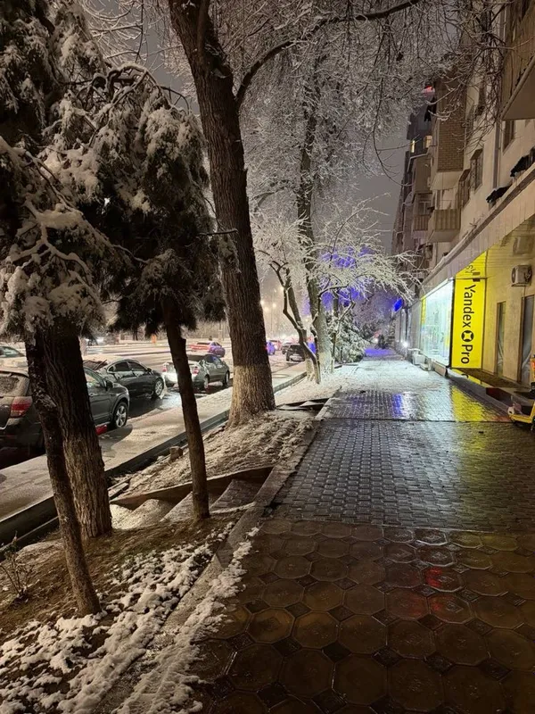 Шота Руставели нежилое помещение 80кв.м первая линия срочно своя — фото 3