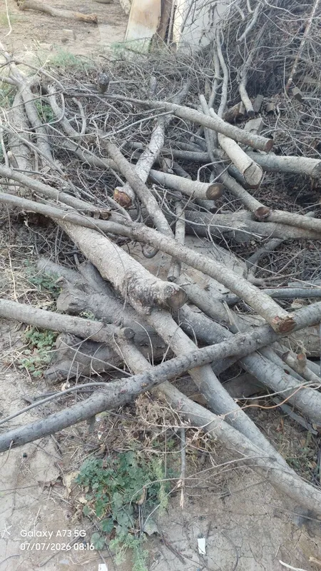 Utin chroyli qilib chopib tahlangan.Ktta kundalari ham bor. 3 Utin chroyli qilib chopib tahlangan.Ktta kundalari ham bor. 3