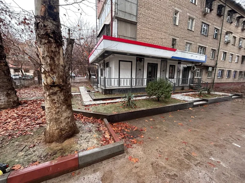 Chilonzor tumanida 65 m², 3 xonali kvartira ijarasi · ID 221 3
