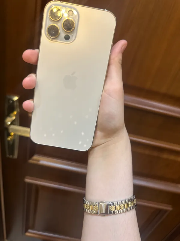 iPhone12 pro max