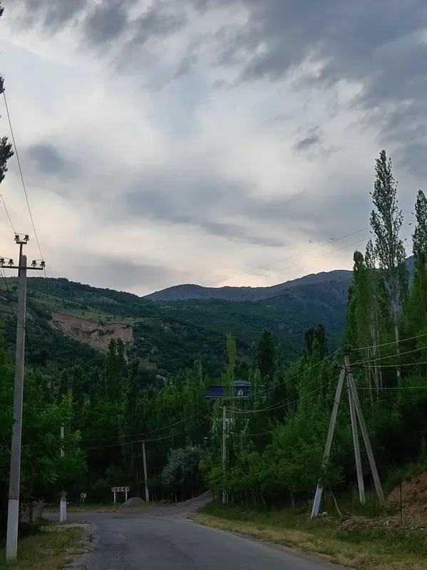 Bustonliq Tumani sijjak qishlog'i yer sotiladi 8