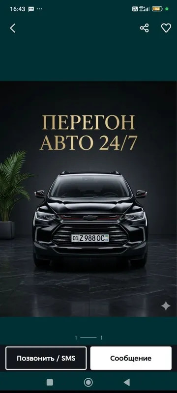 Peregon avtomobile