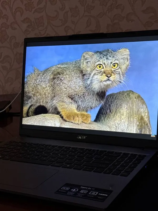 Мощный ноутбук Acer Aspire go 15