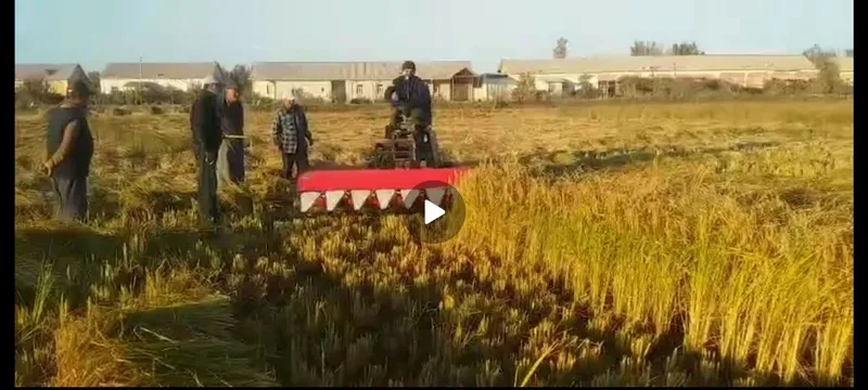 Sholi va beda o'rish uchun Jadka 2,1 m 1