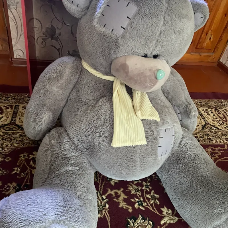 Teddy Juda katta Ayiq Srochnaga sotiladi — фото 5