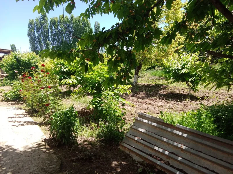 Участок 12соток с фундаментом 8*12 .в Бустонлик туманида. — фото 4