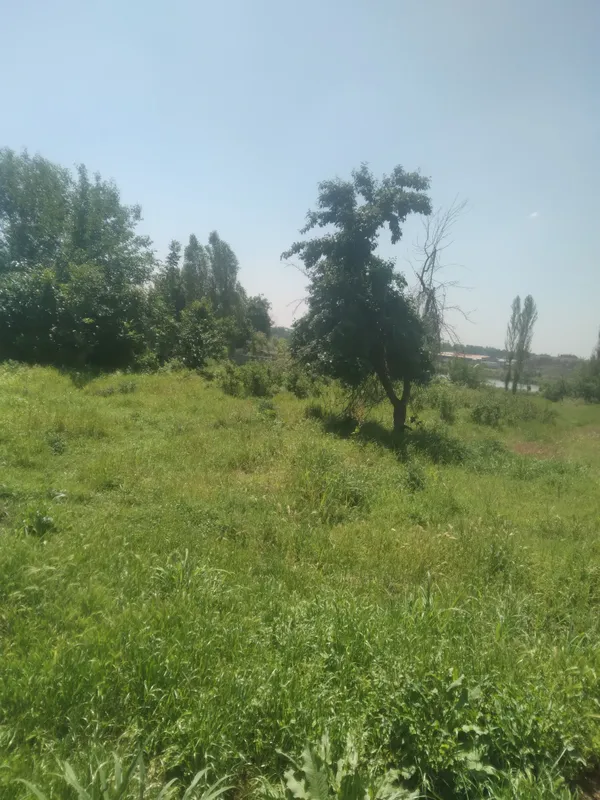 продам зем.участ. 17сот в Ташобл.в 3 км от Ташморе