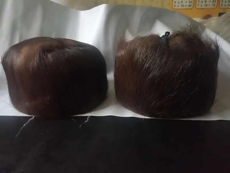 nutriya hayvonidan erkaklar shapkasi 1 nutriya hayvonidan erkaklar shapkasi 1